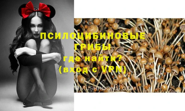мет Козловка