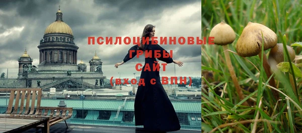 ешки Кодинск