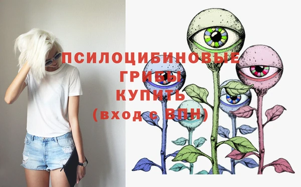 СК Щигры