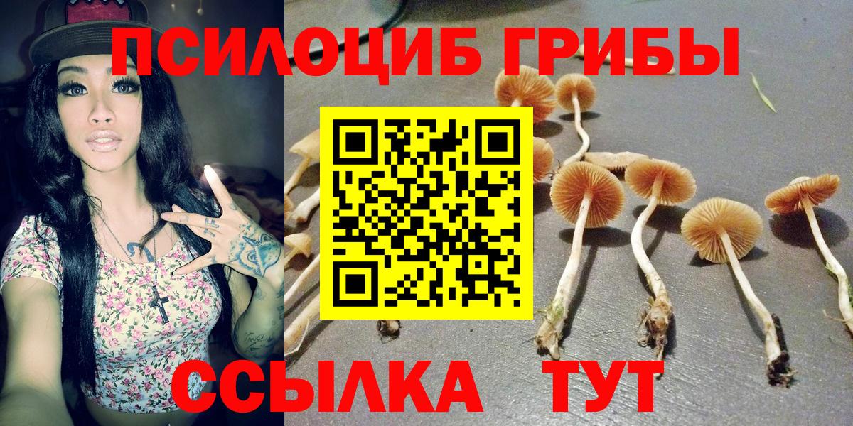 Псилоцибиновые грибы мицелий  Галлюциногенные грибы мицелий  Вход с VPN  Кызыл 