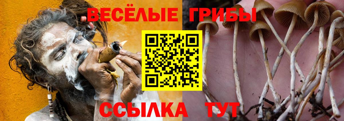 Псилоцибиновые грибы мухоморы Кызыл
