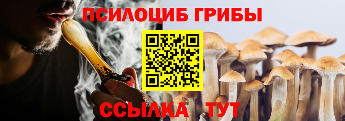Псилоцибиновые грибы Psilocybe  Кызыл 